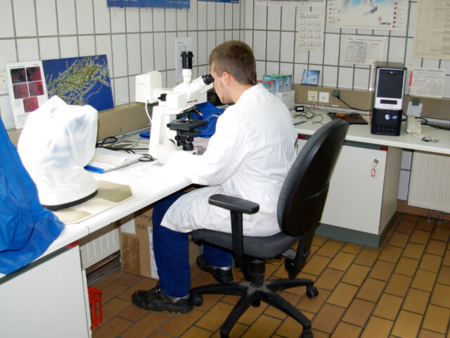 Mann im Labor beim Untersuchen von Proben mit dem Mikroskop